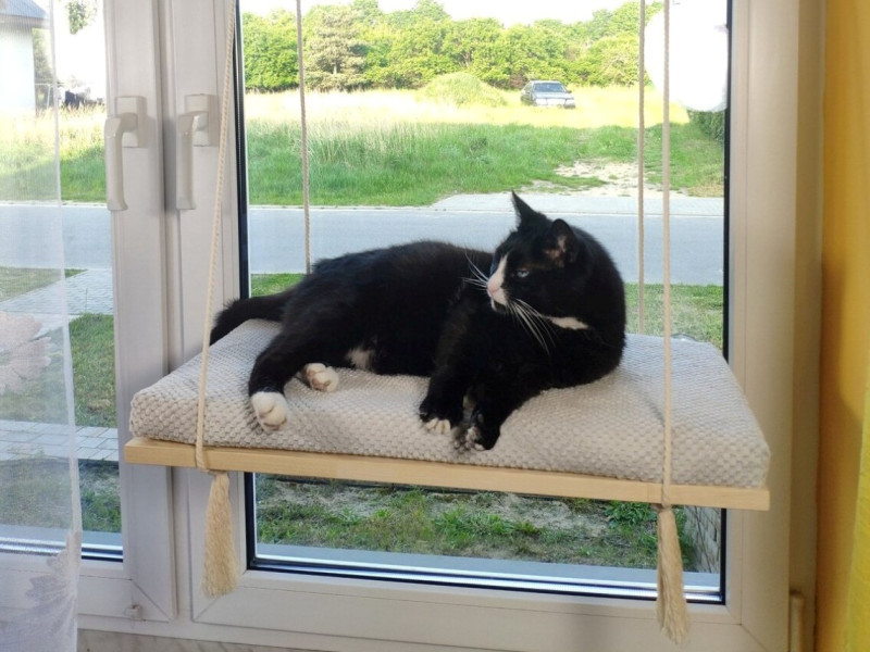 Cat Window Shelf – The Sunny Spot 75 cm SH-W-F75-G