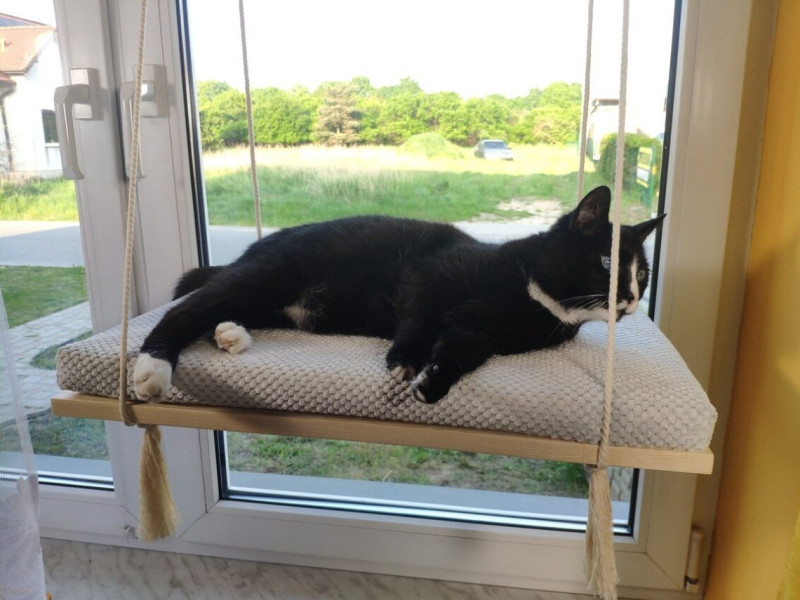 Półka drewniana, okienna dla kota, wisząca PŁASKA 75 cm SH-F-75G