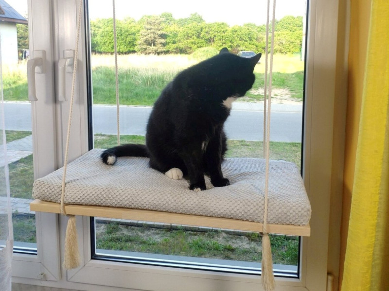 Cat Window Shelf – The Sunny Spot 75 cm SH-W-F75-G
