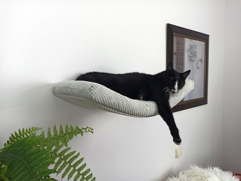 Półka ścienna dla kota, wisząca ŁUK 60 cm SH-M-A60