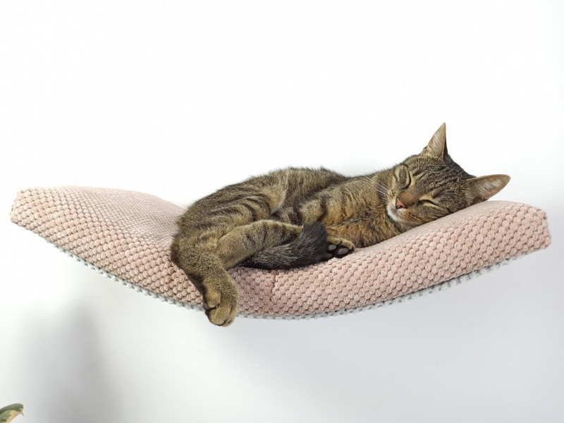 Półka ścienna dla kota, wisząca ŁUK 60 cm SH-M-A60