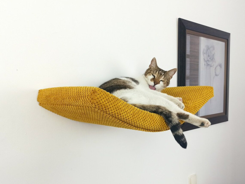 Półka ścienna dla kota, wisząca ŁUK 60 cm SH-M-A60