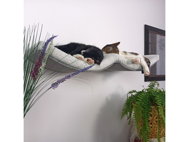 Półka ścienna dla kota, wisząca PODWÓJNY ŁUK 100 cm SH-M-DA100