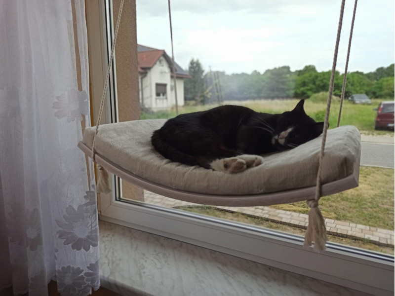 Półka okienna dla kota, łóżko wiszące, huśtawka z widokiem, 60 cm, SH-W-A60-G