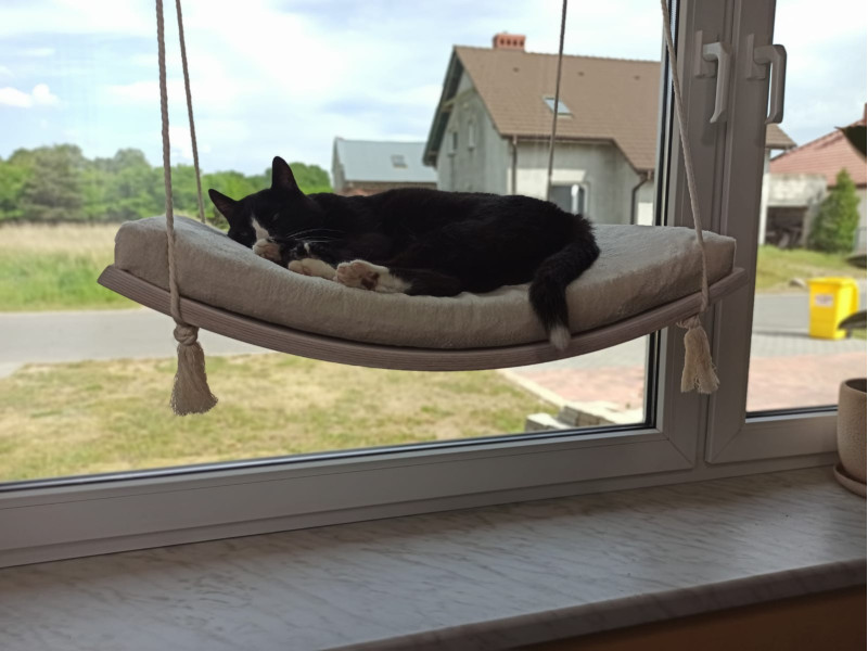 Półka okienna dla kota, łóżko wiszące, huśtawka z widokiem, 60 cm, SH-W-A60-G