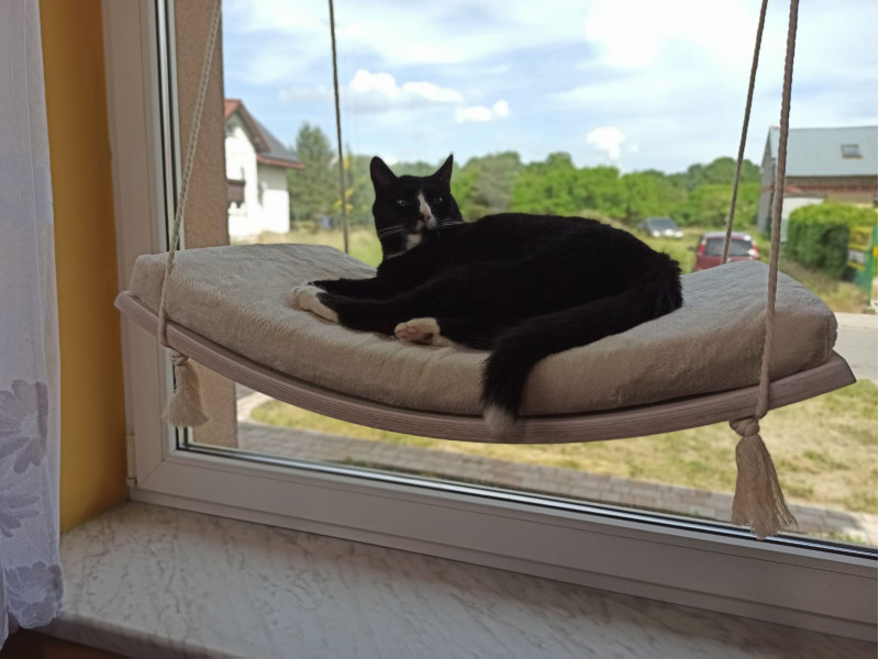 Półka okienna dla kota, łóżko wiszące, huśtawka z widokiem, 60 cm, SH-W-A60-G