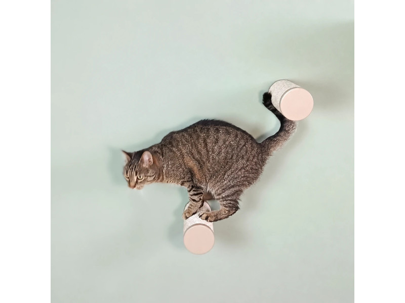 Round Wall-Mounted Cat Step