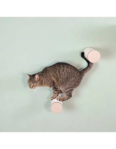 Round Wall-Mounted Cat Step