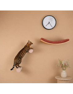 Round Wall-Mounted Cat Step 2