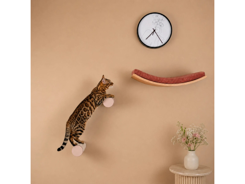 Round Wall-Mounted Cat Step