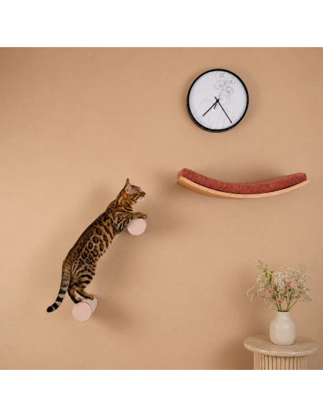 Round Wall-Mounted Cat Step